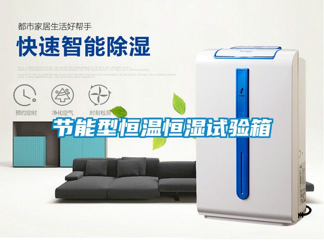 節(jié)能型恒溫恒濕試驗箱