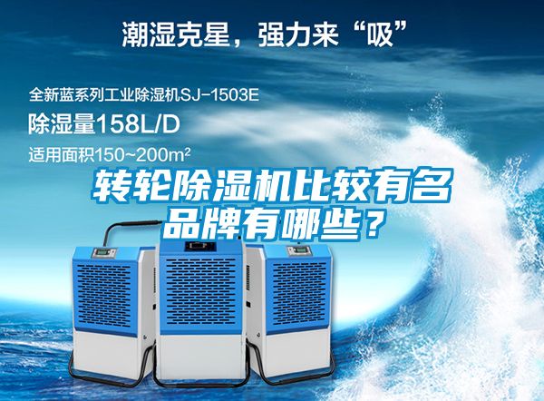 轉(zhuǎn)輪除濕機比較有名品牌有哪些？