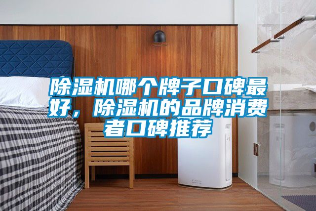 除濕機(jī)哪個牌子口碑最好，除濕機(jī)的品牌消費(fèi)者口碑推薦