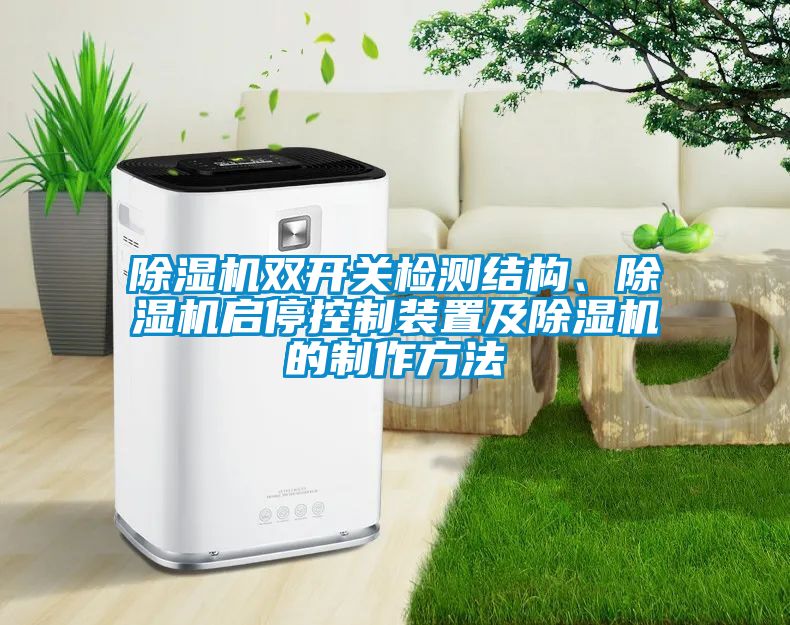 除濕機(jī)雙開關(guān)檢測結(jié)構(gòu)、除濕機(jī)啟?？刂蒲b置及除濕機(jī)的制作方法