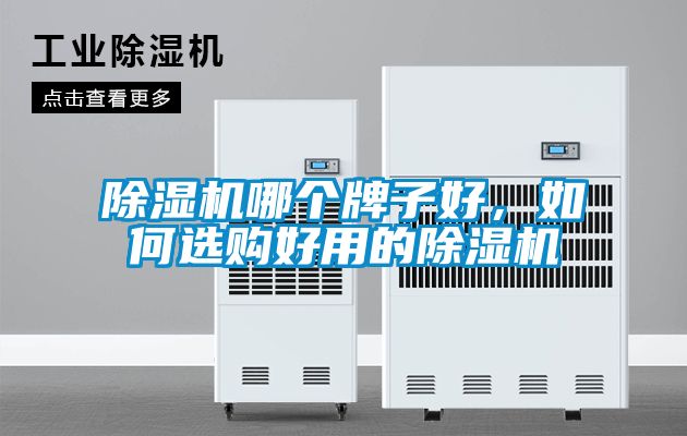 除濕機哪個牌子好，如何選購好用的除濕機