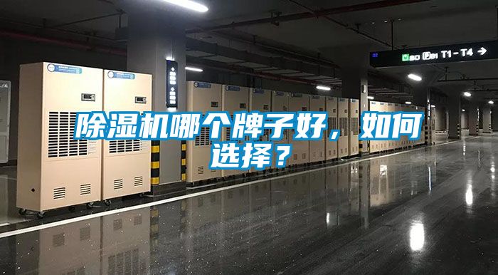 除濕機哪個牌子好，如何選擇？