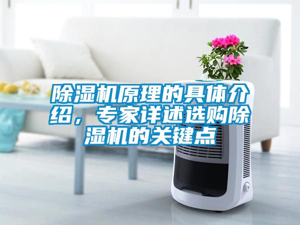 除濕機(jī)原理的具體介紹，專家詳述選購除濕機(jī)的關(guān)鍵點(diǎn)