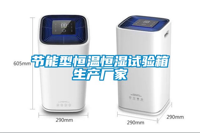 節(jié)能型恒溫恒濕試驗箱生產(chǎn)廠家