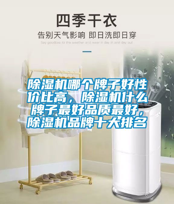 除濕機(jī)哪個(gè)牌子好性價(jià)比高，除濕機(jī)什么牌子最好品質(zhì)最好，除濕機(jī)品牌十大排名