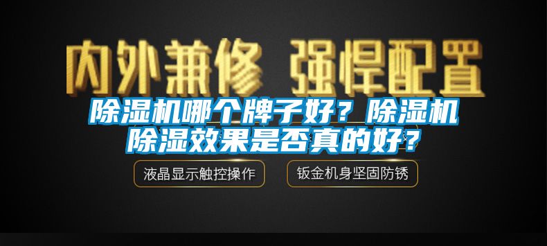 除濕機哪個牌子好？除濕機除濕效果是否真的好？