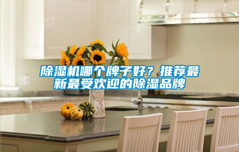 除濕機哪個牌子好？推薦最新最受歡迎的除濕品牌