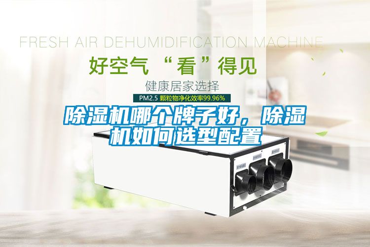 除濕機哪個牌子好，除濕機如何選型配置