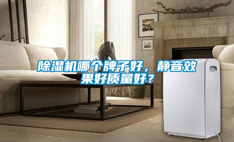 除濕機哪個牌子好，靜音效果好質量好？