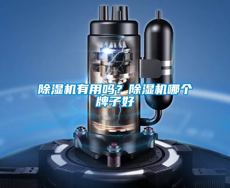除濕機(jī)有用嗎？除濕機(jī)哪個(gè)牌子好