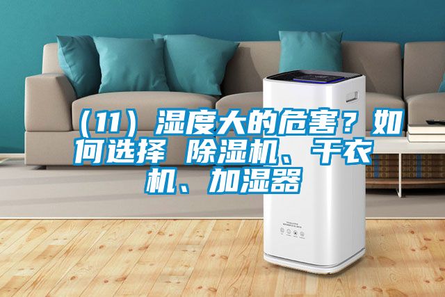 （11）濕度大的危害？如何選擇 除濕機(jī)、干衣機(jī)、加濕器