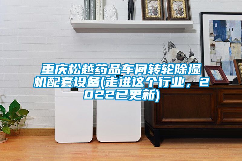 重慶松越藥品車間轉(zhuǎn)輪除濕機配套設(shè)備(走進這個行業(yè)，2022已更新)