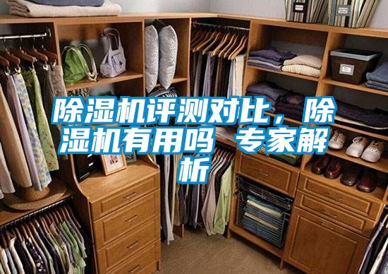 除濕機評測對比，除濕機有用嗎 專家解析