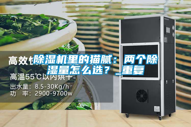 除濕機(jī)里的貓膩：兩個(gè)除濕量怎么選？_重復(fù)