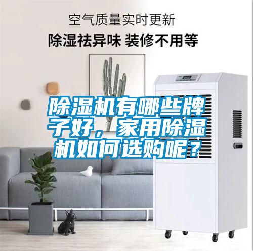 除濕機(jī)有哪些牌子好，家用除濕機(jī)如何選購呢？
