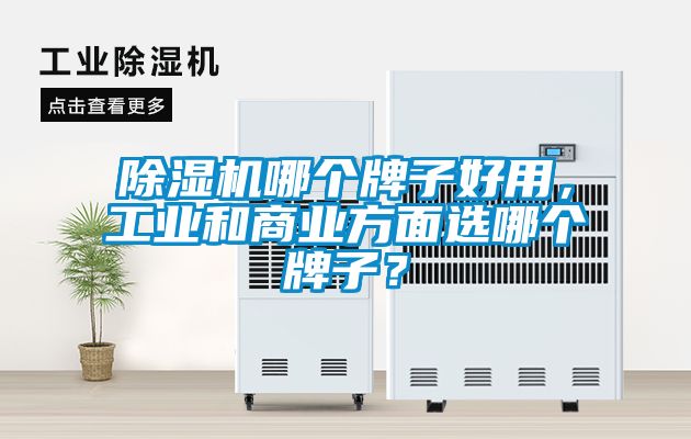 除濕機哪個牌子好用，工業和商業方面選哪個牌子？