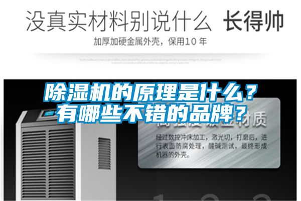 除濕機(jī)的原理是什么？有哪些不錯(cuò)的品牌？