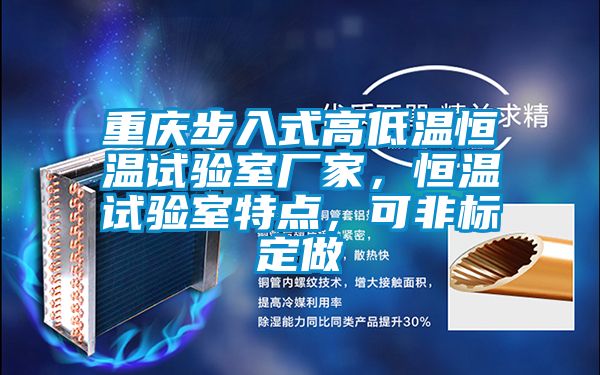 重慶步入式高低溫恒溫試驗室廠家，恒溫試驗室特點，可非標定做