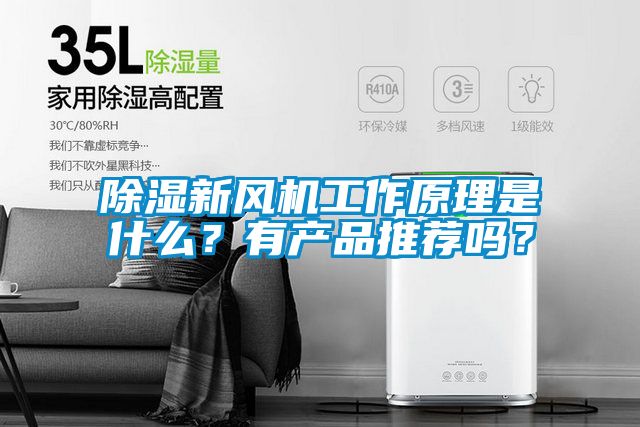 除濕新風機工作原理是什么？有產品推薦嗎？