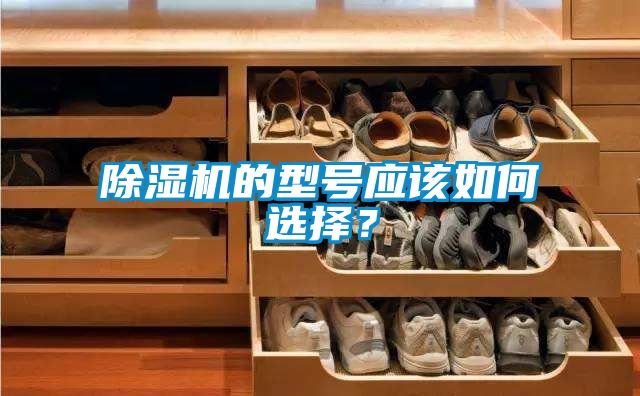 除濕機(jī)的型號(hào)應(yīng)該如何選擇？