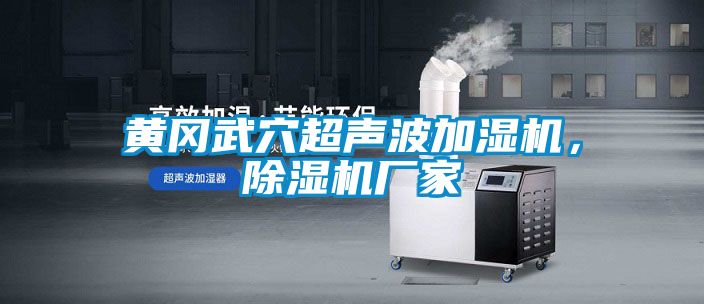 黃岡武穴超聲波加濕機，除濕機廠家