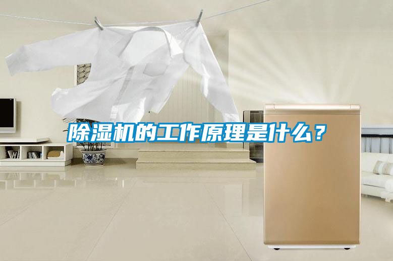 除濕機的工作原理是什么？