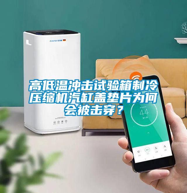 高低溫沖擊試驗箱制冷壓縮機汽缸蓋墊片為何會被擊穿？