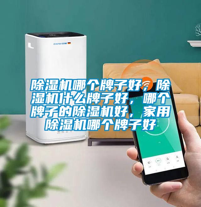 除濕機哪個牌子好，除濕機什么牌子好，哪個牌子的除濕機好，家用除濕機哪個牌子好
