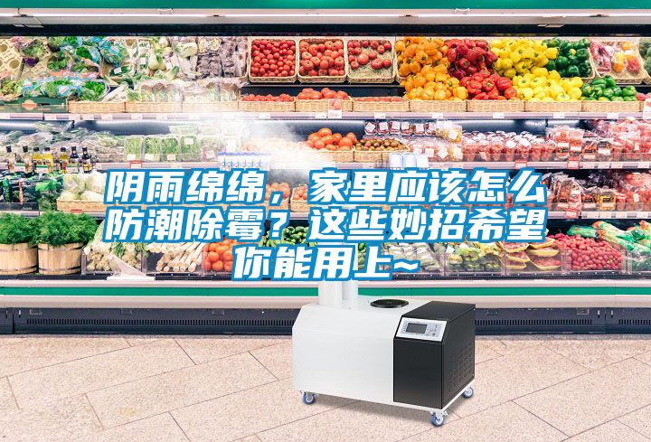 陰雨綿綿，家里應該怎么防潮除霉？這些妙招希望你能用上~