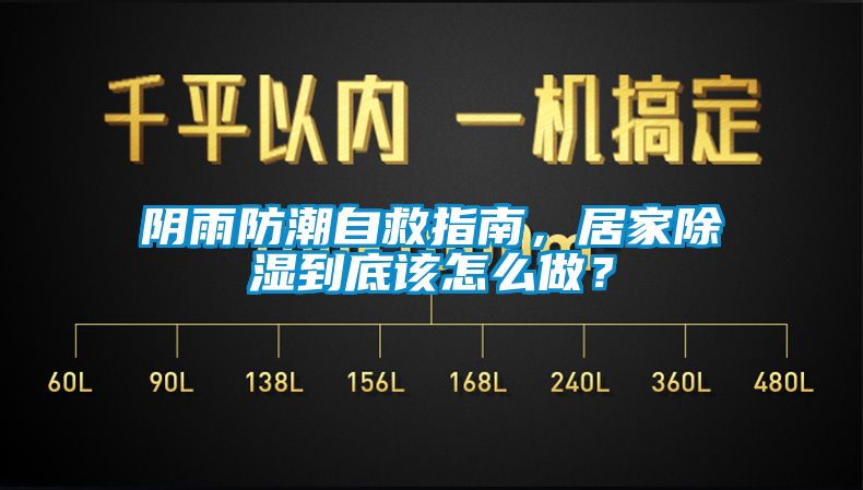 陰雨防潮自救指南，居家除濕到底該怎么做？