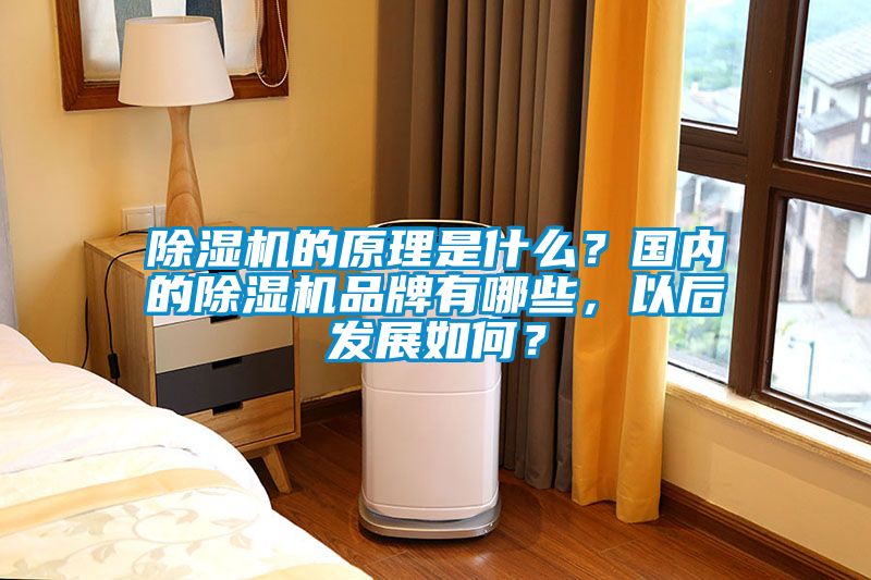除濕機(jī)的原理是什么？國(guó)內(nèi)的除濕機(jī)品牌有哪些，以后發(fā)展如何？