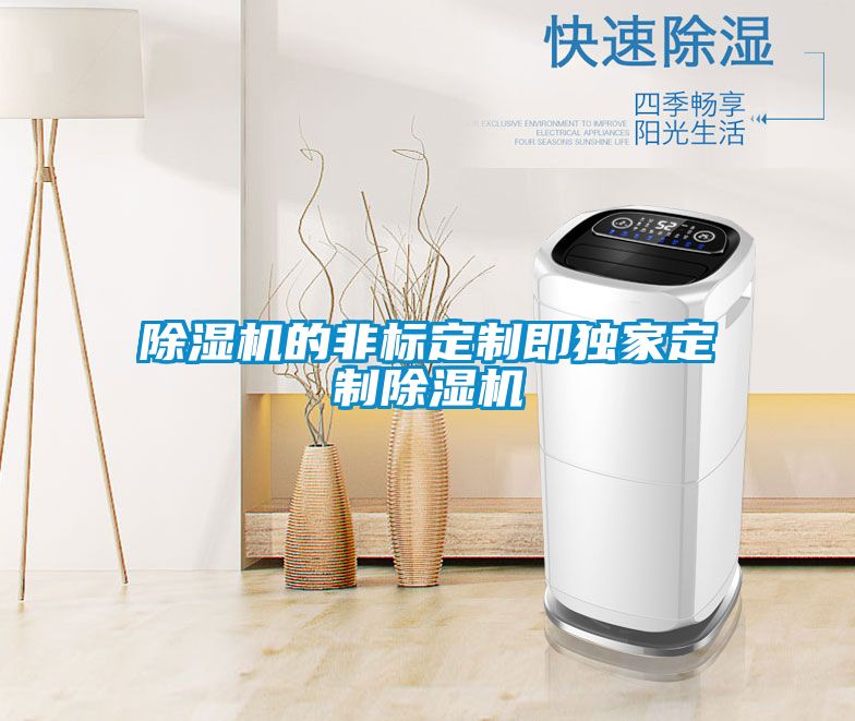 除濕機(jī)的非標(biāo)定制即獨家定制除濕機(jī)