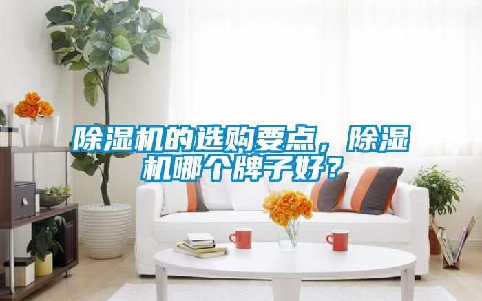 除濕機的選購要點，除濕機哪個牌子好？