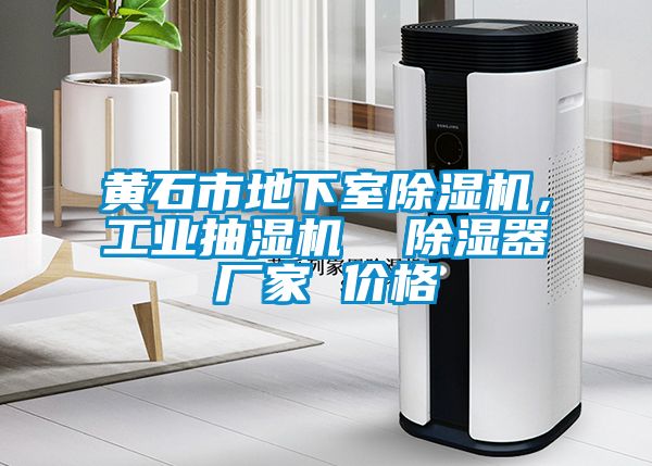 黃石市地下室除濕機，工業抽濕機  除濕器廠家 價格