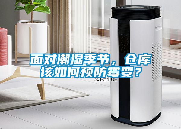 面對潮濕季節(jié)，倉庫該如何預防霉變？