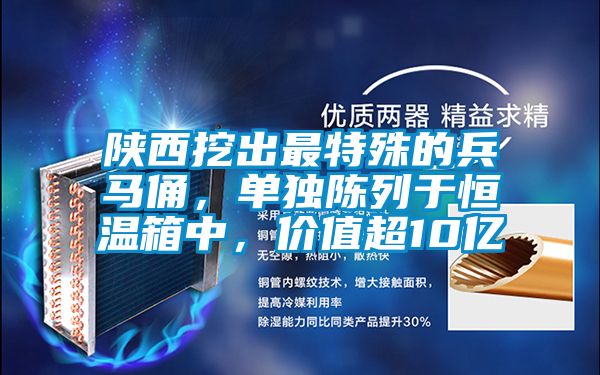 陜西挖出最特殊的兵馬俑，單獨陳列于恒溫箱中，價值超10億