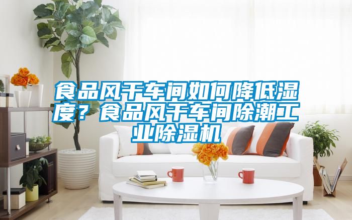 食品風干車間如何降低濕度？食品風干車間除潮工業除濕機
