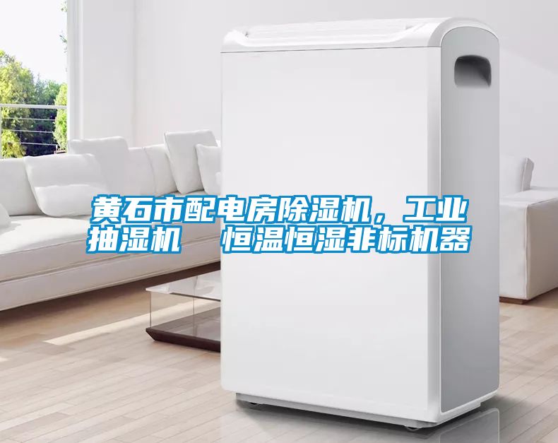 黃石市配電房除濕機，工業抽濕機  恒溫恒濕非標機器