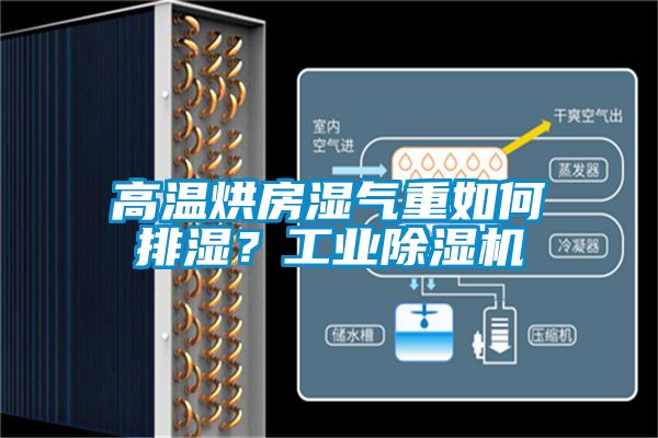 高溫烘房濕氣重如何排濕？工業除濕機